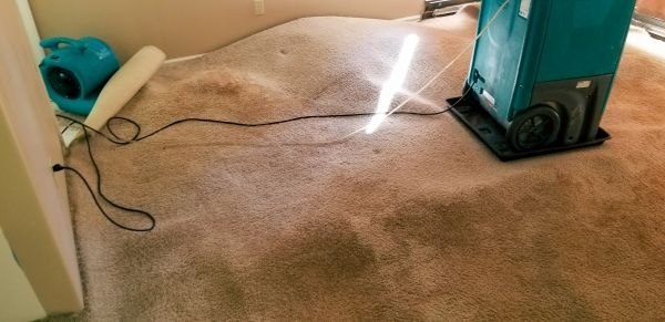 Carpet Water Extraction in Salt Lake City